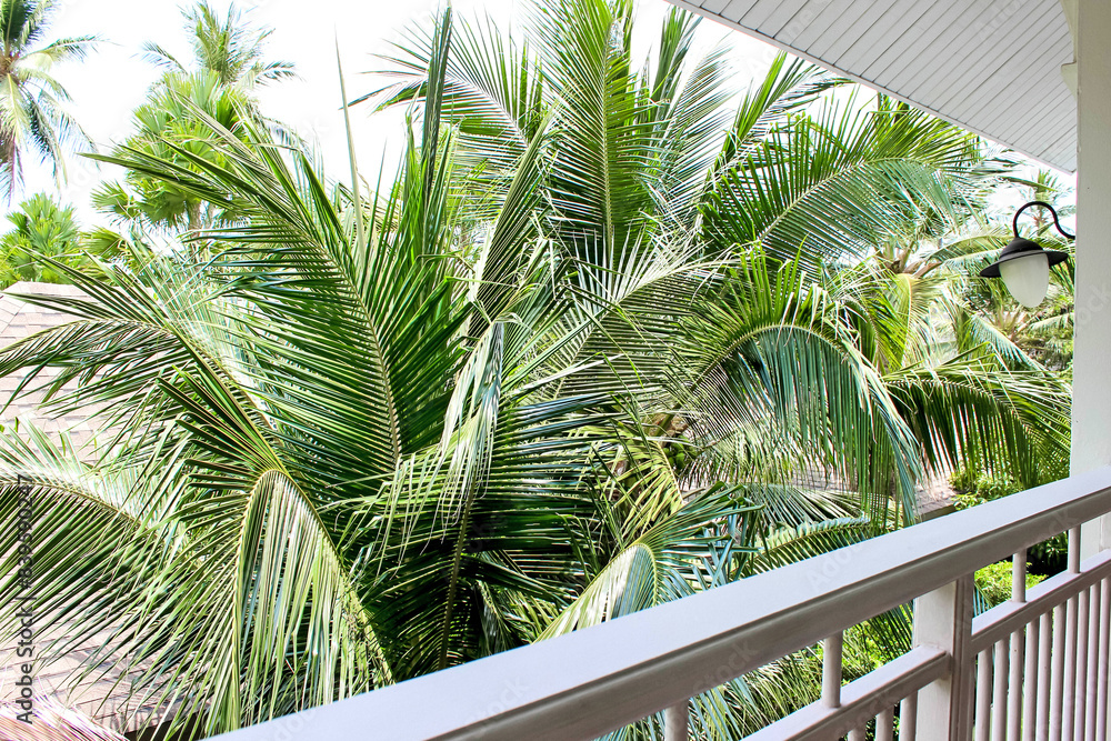 Fototapeta premium Enjoy the view from a tropical paradise balcony surrounded by lush green palm trees