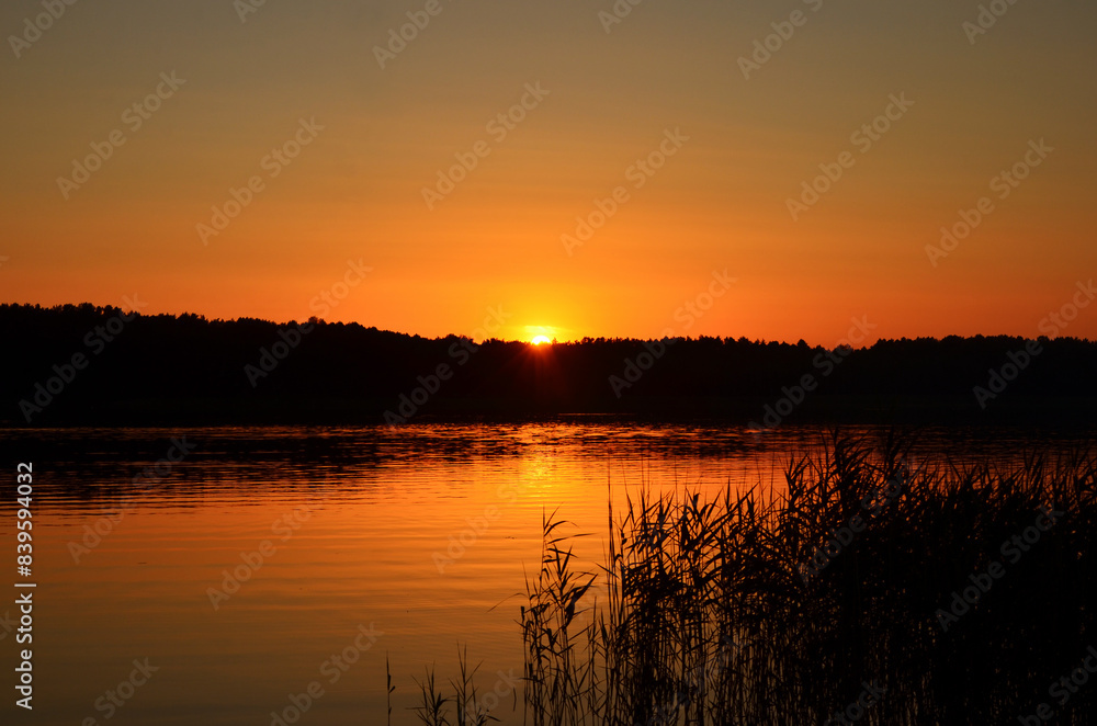 Obraz premium summer landscape in warm colors sunset on a lake surrounded by forest