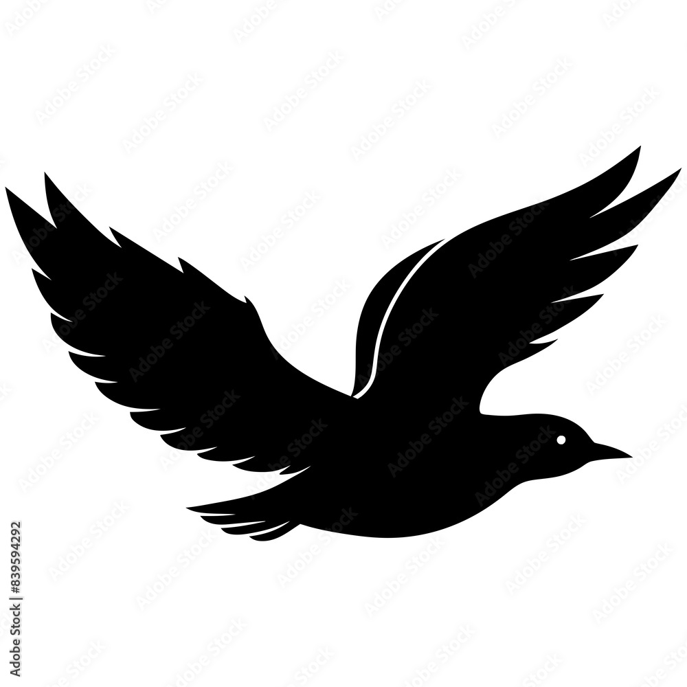 Fototapeta premium dove in flight