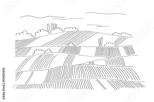 Rural landscape sketch panoramic format with harvest fields. Hand drawn vector Illustration in minimal line art style. Green grass field, vineyard on small hills. Abstract Meadow, countryside pastures