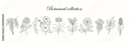 Line art garden flowers and plants collection