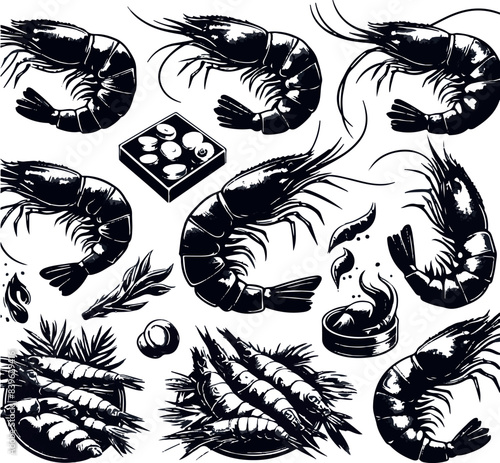 Vector illustration of a shrimp, a member of the Caridea order, depicted in a scratchboard style. This hand-drawn image captures the intricate details of the shrimp's anatomy