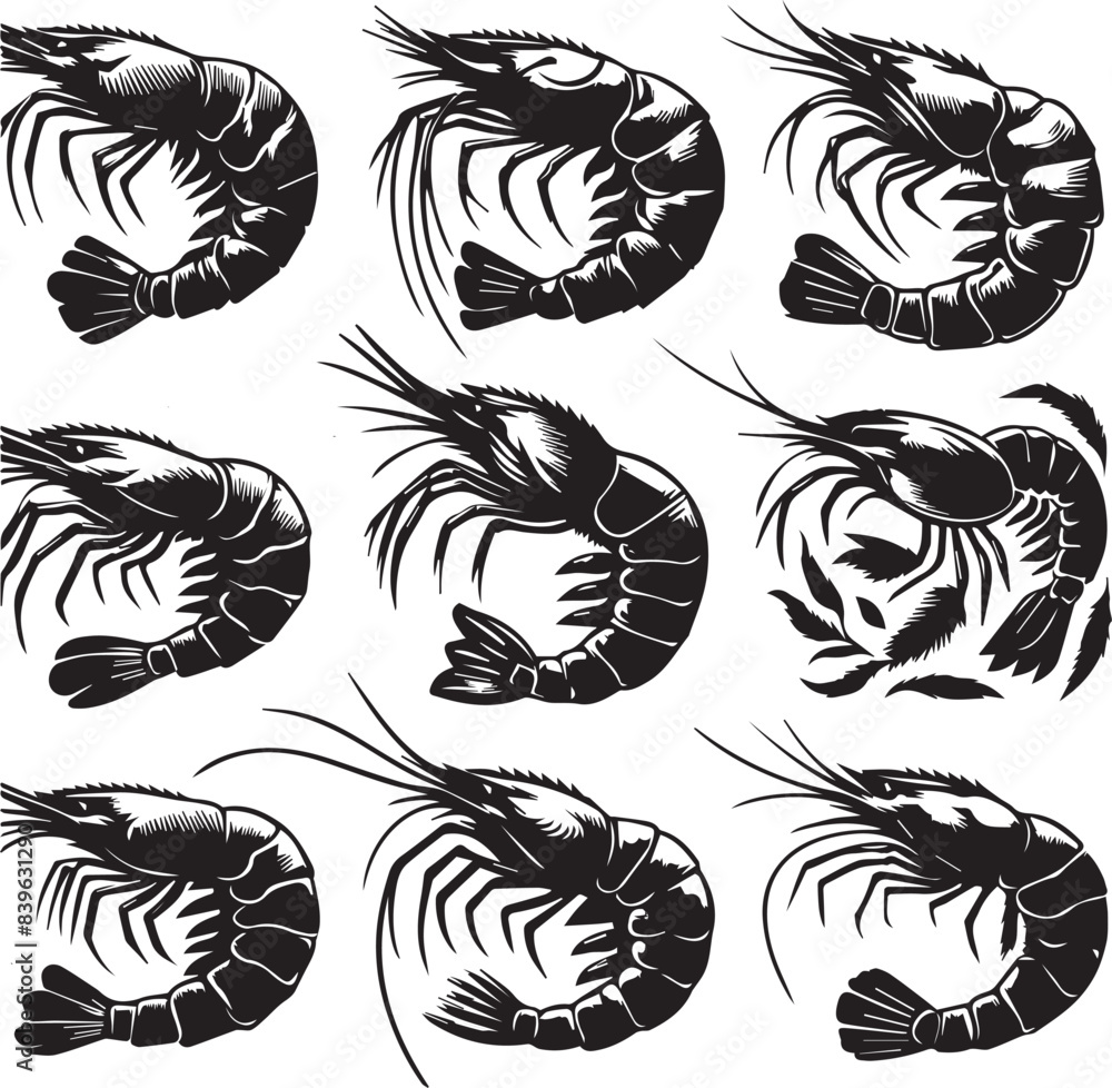 Vector illustration of a shrimp, a member of the Caridea order, depicted in a scratchboard style. This hand-drawn image captures the intricate details of the shrimp's anatomy Vector illustration of a shrimp, a member of the Caridea order, depicted in a scratchboard style. This hand-drawn image captures the intricate details of the shrimp's anatomy