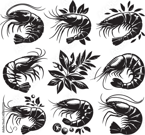 Vector illustration of a shrimp, a member of the Caridea order, depicted in a scratchboard style. This hand-drawn image captures the intricate details of the shrimp's anatomy