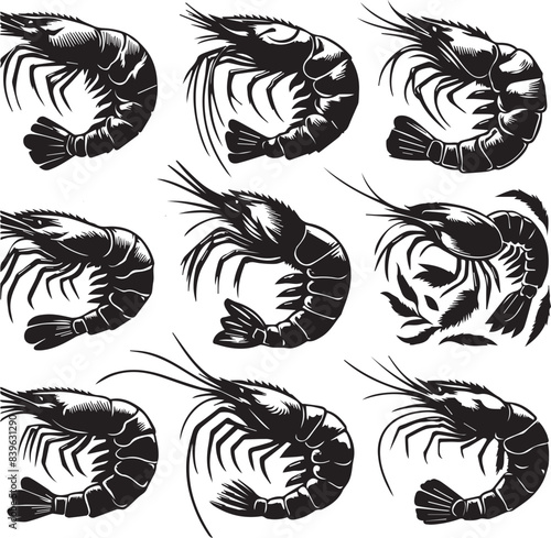 Vector illustration of a shrimp, a member of the Caridea order, depicted in a scratchboard style. This hand-drawn image captures the intricate details of the shrimp's anatomy