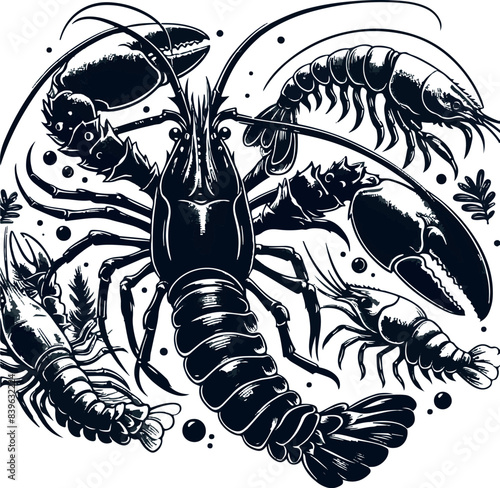 Vector illustration of a shrimp, a member of the Caridea order, depicted in a scratchboard style. This hand-drawn image captures the intricate details of the shrimp's anatomy