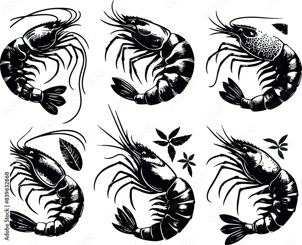 Obraz premium Vector illustration of a shrimp, a member of the Caridea order, depicted in a scratchboard style. This hand-drawn image captures the intricate details of the shrimp's anatomy