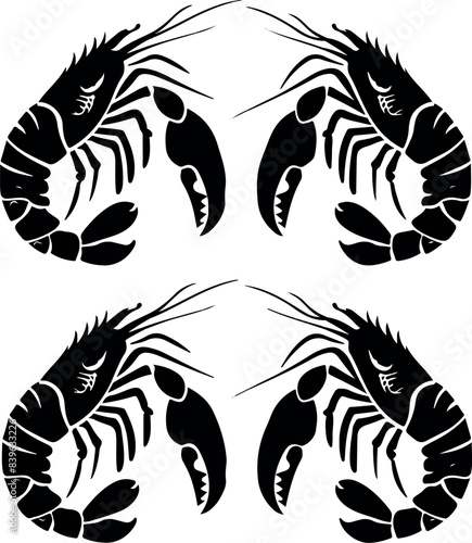 Vector illustration of a shrimp, a member of the Caridea order, depicted in a scratchboard style. This hand-drawn image captures the intricate details of the shrimp's anatomy