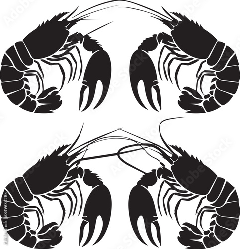 Vector illustration of a shrimp, a member of the Caridea order, depicted in a scratchboard style. This hand-drawn image captures the intricate details of the shrimp's anatomy