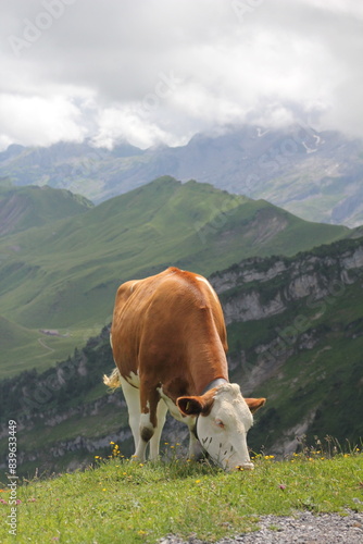 Switzerland landscapes  