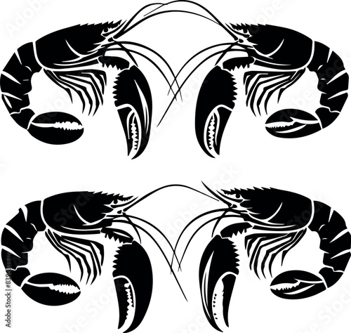 Vector illustration of a shrimp, a member of the Caridea order, depicted in a scratchboard style. This hand-drawn image captures the intricate details of the shrimp's anatomy