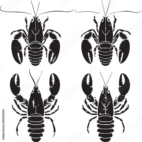 Vector illustration of a shrimp, a member of the Caridea order, depicted in a scratchboard style. This hand-drawn image captures the intricate details of the shrimp's anatomy