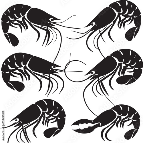 Vector illustration of a shrimp, a member of the Caridea order, depicted in a scratchboard style. This hand-drawn image captures the intricate details of the shrimp's anatomy