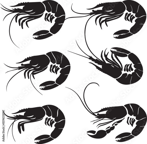 Vector illustration of a shrimp, a member of the Caridea order, depicted in a scratchboard style. This hand-drawn image captures the intricate details of the shrimp's anatomy