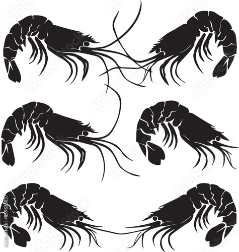 Vector illustration of a shrimp, a member of the Caridea order, depicted in a scratchboard style. This hand-drawn image captures the intricate details of the shrimp's anatomy