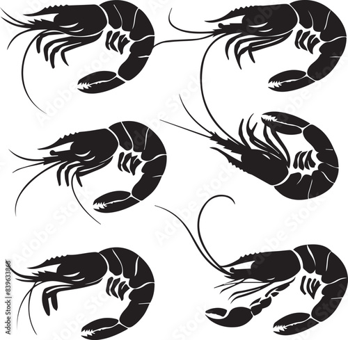 Vector illustration of a shrimp, a member of the Caridea order, depicted in a scratchboard style. This hand-drawn image captures the intricate details of the shrimp's anatomy