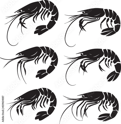 Vector illustration of a shrimp, a member of the Caridea order, depicted in a scratchboard style. This hand-drawn image captures the intricate details of the shrimp's anatomy