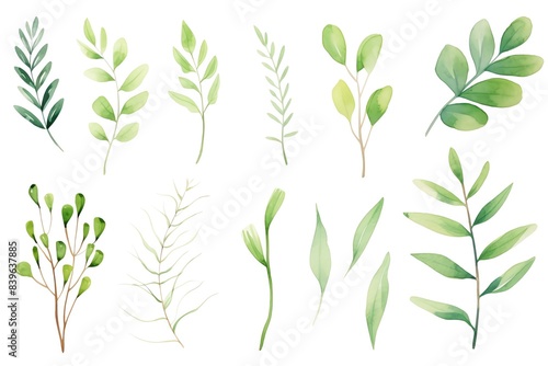 A collection of watercolor hand-painted green botanical leaves, perfect for nature-themed designs, invitations, or artistic projects.