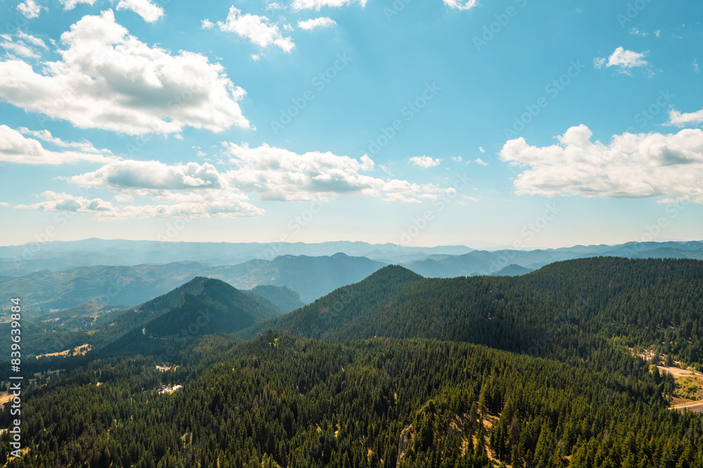 Aerial view Green coniferous forest and grass meadows top view Beautiful mountain range against blue sky on sunny Aerial view Green coniferous forest and grass meadows top view Beautiful mountain range against blue sky on sunny