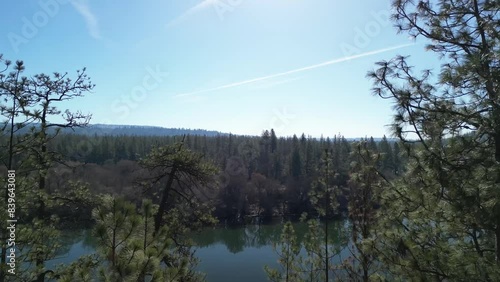 aerial view of the forest