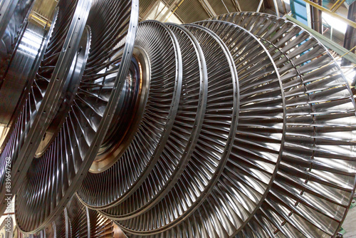 Blades of steam turbine rotor.
