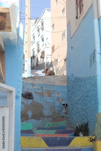 Morocco 