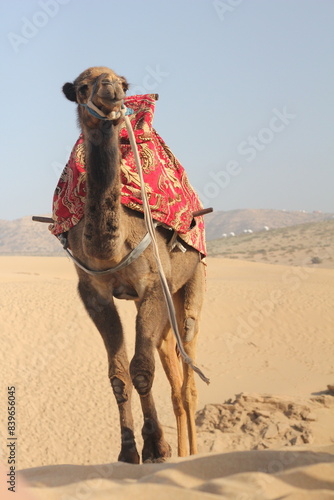 Morocco 