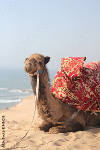 Morocco 
