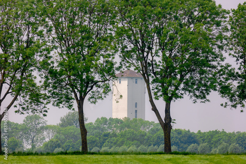Spring landscape with rows or line of trees along the roadside with green grass meadow and water tower (Watertoren) background, Werkhoven is a small town in the Dutch province of Utrecht, Netherlands. photo