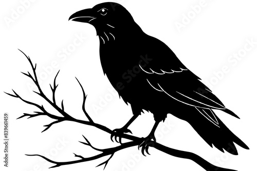 crow bird silhouette vector illustration © Shiju Graphics