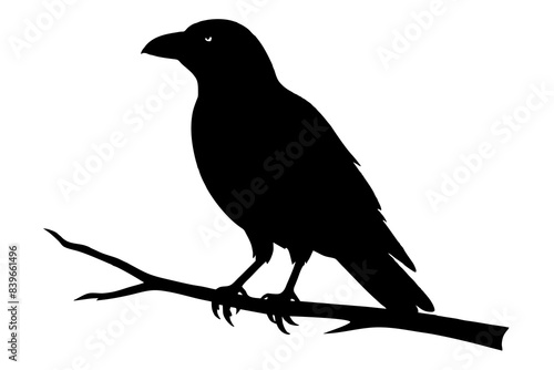 crow bird silhouette vector illustration