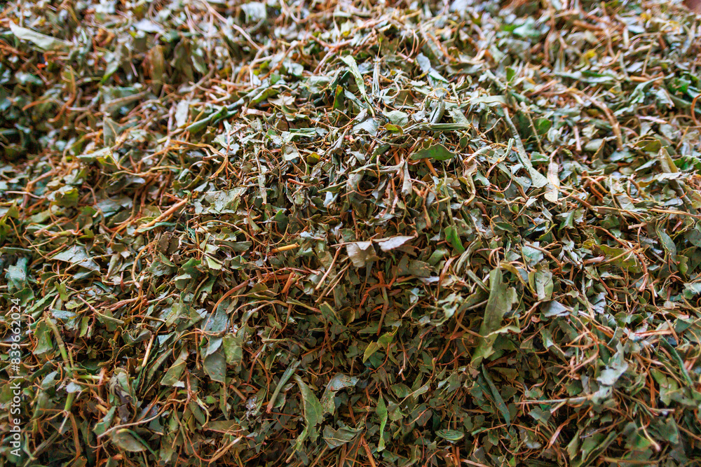 Closeup view of tea leaves after fermentation. Closeup view of tea leaves after fermentation.