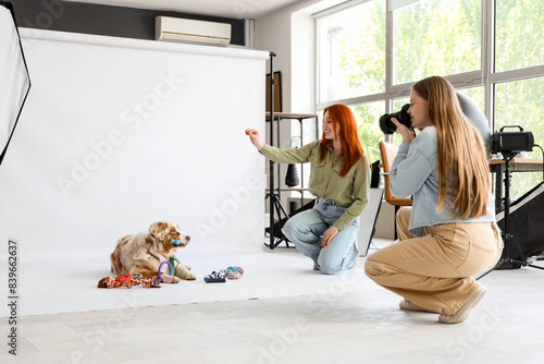 Female photographer taking picture of Australian Shepherd dog with toys in studio photo