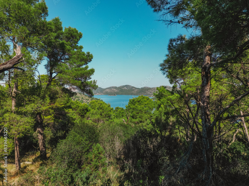 Coniferous trees and shrubbery growing on shores of Lake Mir in Dugi Otok island, Telascica National Park, Croatia Coniferous trees and shrubbery growing on shores of Lake Mir in Dugi Otok island, Telascica National Park, Croatia