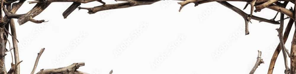 frame made of dry branches. frame made of dry branches.