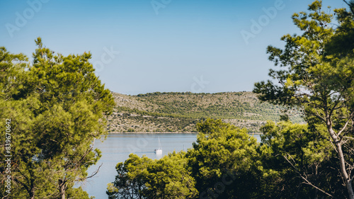 Yacht sailing on calm lake on summer day, blue water and green coniferous forest in Telascica National Park, Croatia