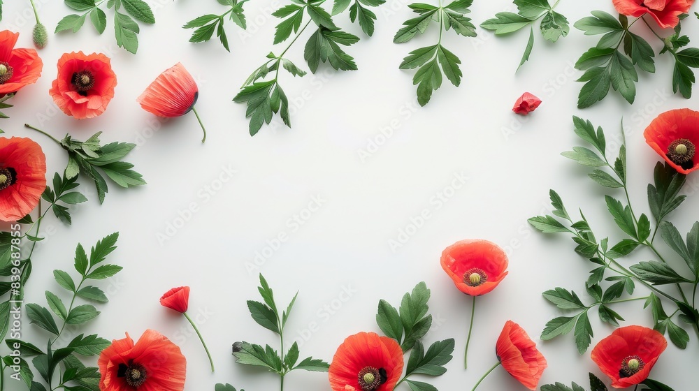 abstract beautiful floral background with red poppy flowers on white background, copy space, place for text abstract beautiful floral background with red poppy flowers on white background, copy space, place for text