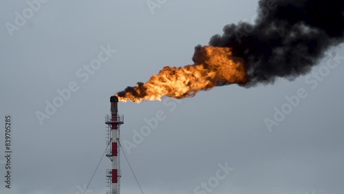 Torch burns. Associated gas burn on Oil field. Gas burner. Yellow flame in blue sky. Fire from pipe.