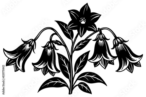 Vector black silhouettes of flowers isolated on a white background photo