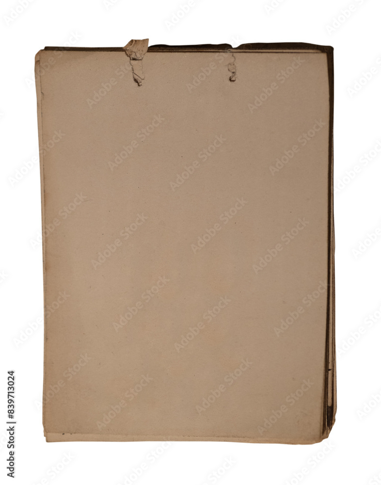 The old empty blank manuscript . The old empty blank manuscript .