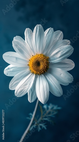 A small daisy phone wallpaper clean background  photography pictures  generated with AI