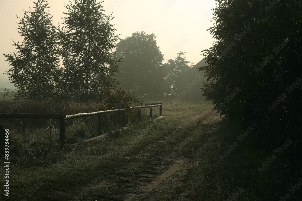 Morning on the farm Morning on the farm
