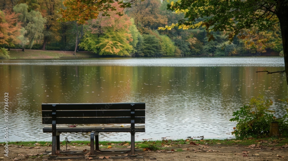 An empty park bench overlooking a lake evoking bittersweet memories of lost loved ones An empty park bench overlooking a lake evoking bittersweet memories of lost loved ones