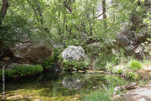 Smith Springs at Guadalupe Mountains, Guadalupe Mountains National Park, Texas