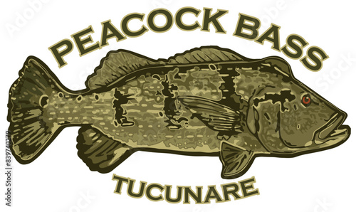 PEACOCK BASS TUCUNARE