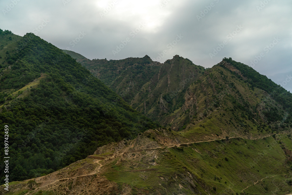 Caucasian mountain. Dagestan. Trees, rocks, mountains, view of the green mountains. Beautiful summer landscape.