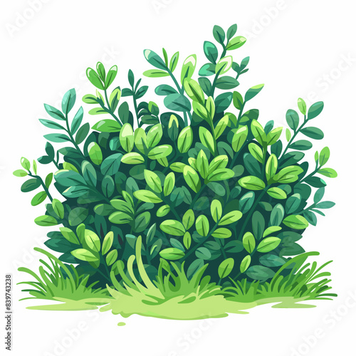 Lush Green Bush with Leaves on White Background