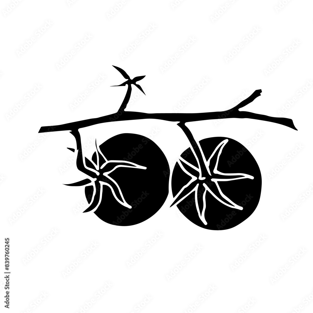 Silhouette,doodle vegetables tomato.Vector graphics. Silhouette,doodle vegetables tomato.Vector graphics.