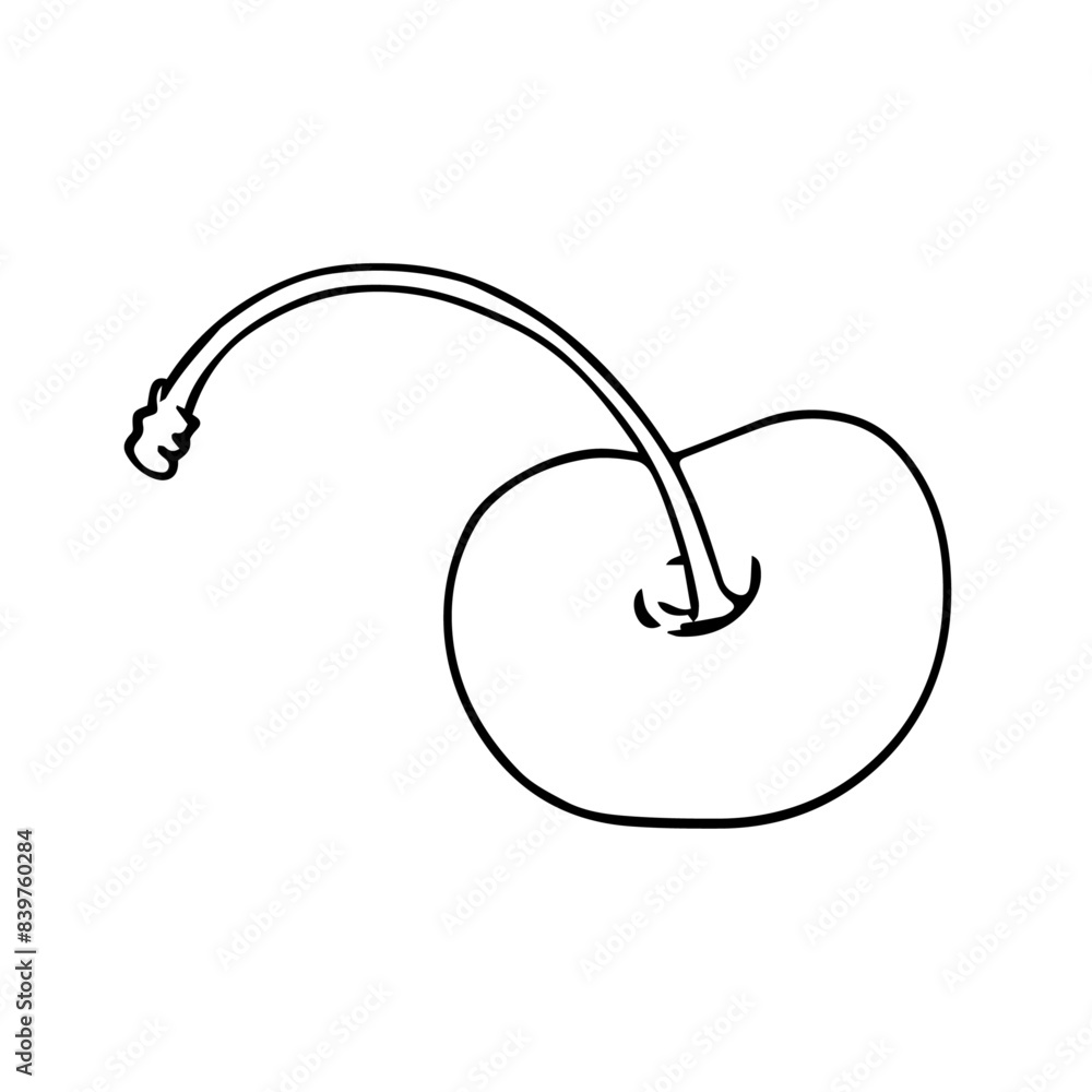 Linear botanical sketch, outline of cherry berries. Vector graphics. Linear botanical sketch, outline of cherry berries. Vector graphics.