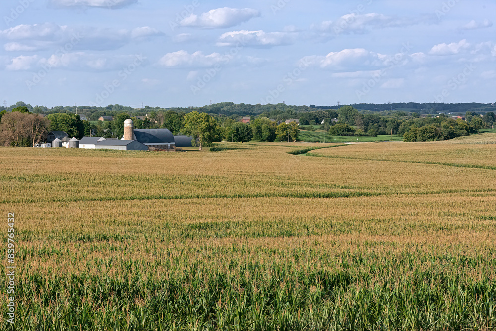 Fototapeta premium Farmland
